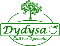 dydysa.com